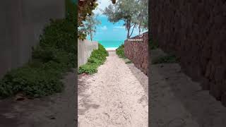 Hawaii's SECRET Beach Access Paths: #Waimanalo's Hidden Gems 🏖️🤫 #Hawaii #Beach #Path #Walk #Ocean