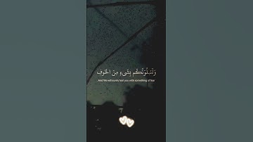 #تلاوة_هادئة #اكسبلور #القزابري #لايك #المصحف #قرآن #الرحمن #دويتو #العظماء