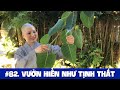 #82. Vườn Hiền Như Tịnh Thất