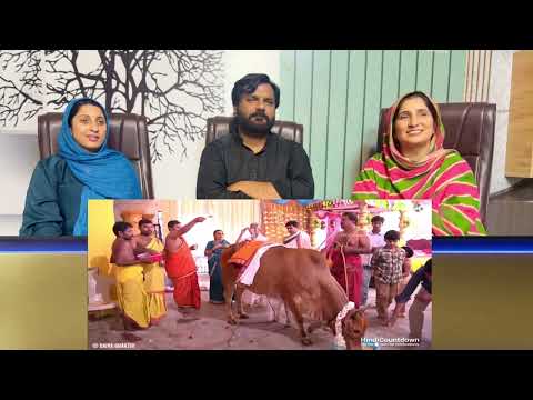 The Things Only Can See in India Part 2 - Pakistani Reaction