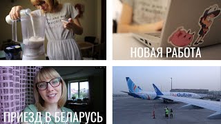 Удалённая работа и возвращение в Беларусь / My new remote job and return to Belarus