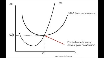 Productive Efficiency