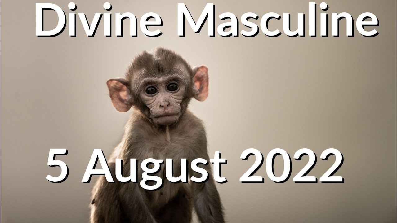 Divine Masculine Message  - DF You Intrigue Me 🐒