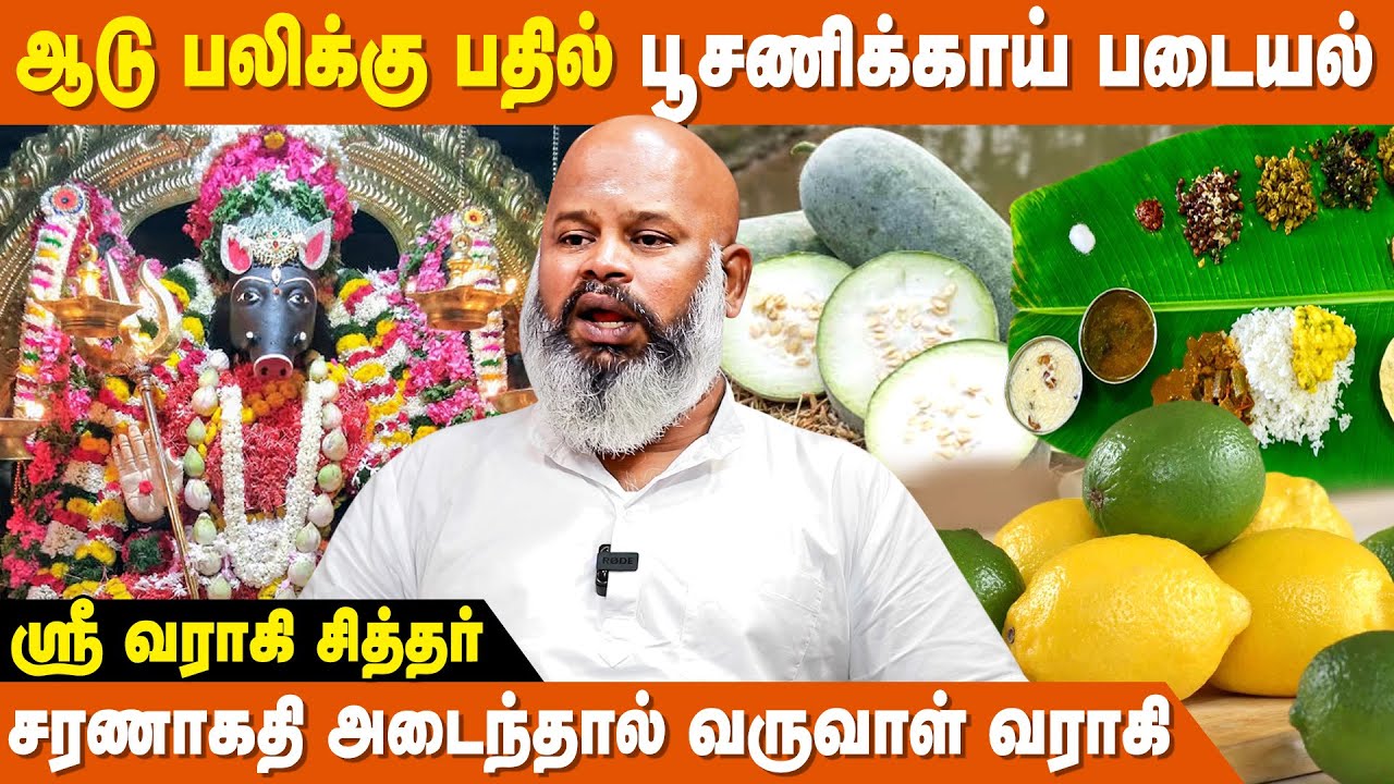 வராகிக்கு மாமிச படையல் செய்யலாமா? - Varahi Siddhar | Varahi Amman Upasana | IBC Bakthi