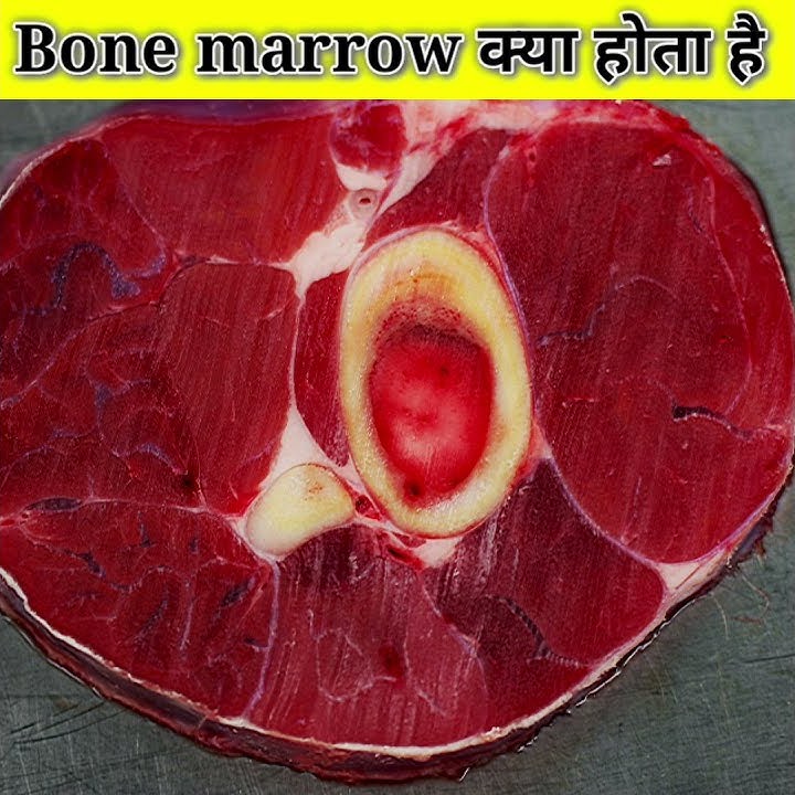 Bone marrow क्या होता है ?