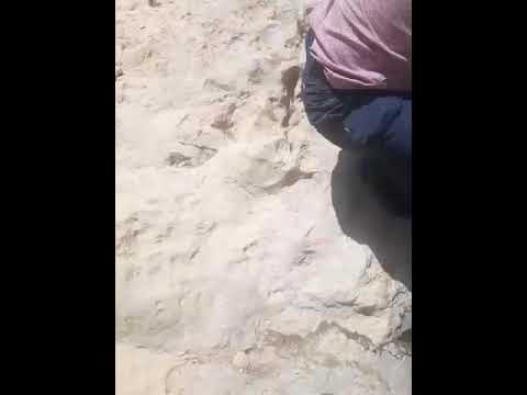 جهرم کوه خفر طبیعت چشمه