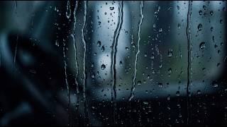 Rhythmic Rain Drumming on Cabin Steel — Deep Forest Appalachian Storm