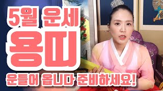 [띠별운세]5월 00띠 종합운세사주 연애운 매매운 사업운 직업운 금전운 건강운