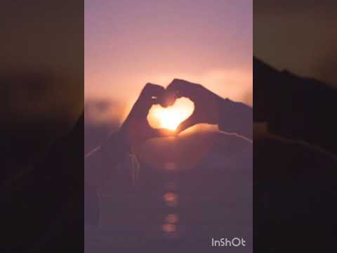 نورتى قلبى مدحت صالح نورتى قلبى رومانسي