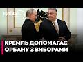 😱"ТЕМНИКИ З ПОСОЛЬСТВА РФ": як Сурков і Кірієнко керують виборами в Угорщині - Тибор ТОМПА
