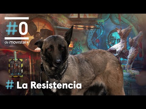 LA RESISTENCIA - ¿Lleva droga el público de La Resistencia? | #LaResistencia 10.05.2021