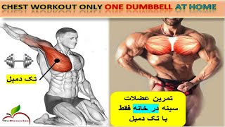 Best Chest Workout At Home - تمرین وفیتنس،آموزش حرکات و تمرینات برای رشد و حجم عضلات سینه با دمبل