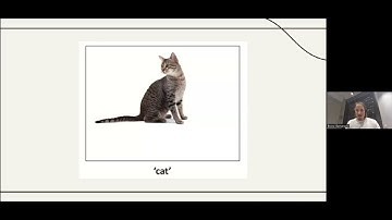 Bruno Gavranović ---  Categorical Deep Learning: An Algebraic Theory of Architectures.