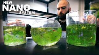 I Made A New System For Shrimp & Nano Fish  RARE Ecosystem Build Starts