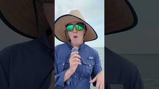 GBF Oyster Reef Monitoring