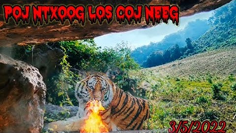 poj ntxoog coj neeg mus ua tsov lawm - Dab neeg dab - 3/5/2022