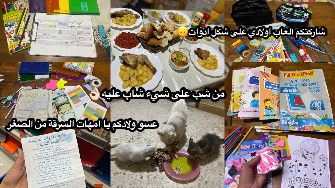 مع ام رسلان كي العادة الفايدة و الاستفادة👌🏻سرقة الأدوات من البداية😏وصفة للعاملات و الفنيانات🫣