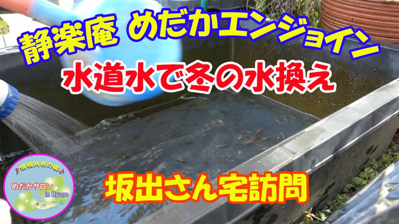 第35回 坂出三色「冬でも水道水の水換え」」