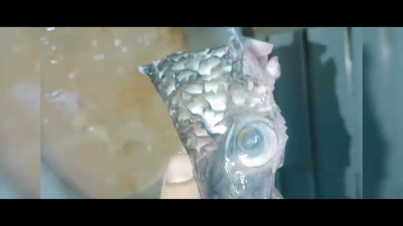 Sunday special fish fry    చాపల పులుసు తయారీ విధానం జొన్న రొట్టెలు  అన్నం  తయారీ విధానం