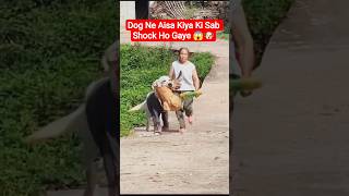 Dog Ne Aisa Kiya Ki Sab Shock Ho Gaye 😱🐶 #funny #indiamemes #humor #ytshortsindia #viral