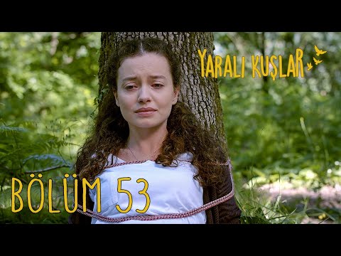 Yaralı Kuşlar 53. Bölüm