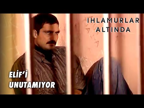 Yılmaz, Nezarette! - Ihlamurlar Altında 6.Bölüm