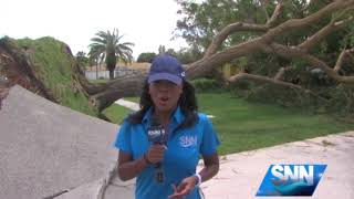 SNN: 50 foot tree falls on Venice home after Hurricane Irma