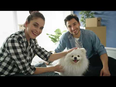 Video post production showreel by Arts By Yaseen