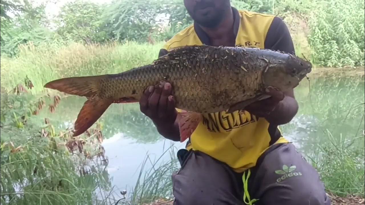 float fishing for beginners नैसिखियों के लिए फ्लेट फिशिगं float fishing