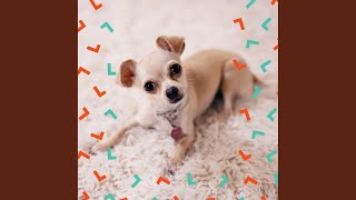 Vivacious Music for Doggies in December