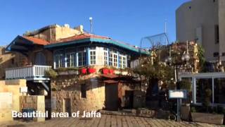 Mediterranean Day: Holy Land Day 2-1