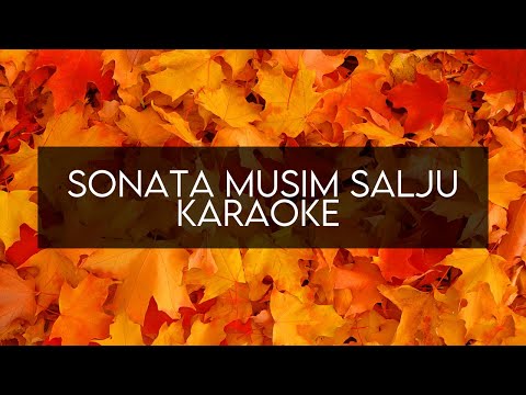 Karaoke Sonata - Sonata Musim Salju   Karaoke  High Quality HD