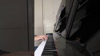 Die Rose, die Lilie, die Taube - Schumann - piano accompaniment - karaoke