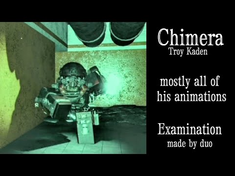 All chimera animations | Examination 