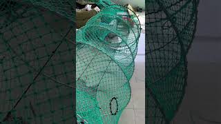 "Why 2000+ Fishermen Choose Nets? (Patent-Certified + 30% Cheaper) DM 'FISH' Now! #fishing