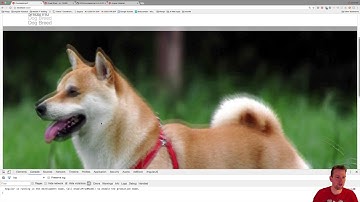 using Angular2 Material Design