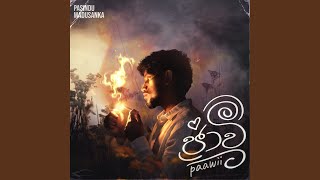 Paawii