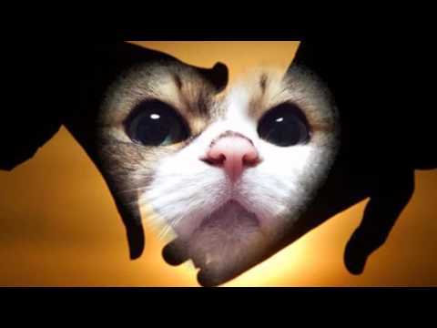 ふれあい　（中村雅俊）　　カバー曲