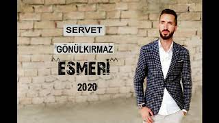 SERVET GÖNÜLKIRMAZ  ( esmeri ) 2020 Resimi