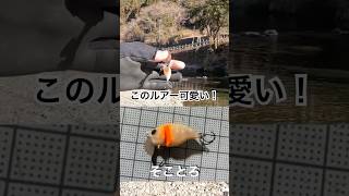 そことろでボトム釣り楽しい#エリアトラウト #fishing #ボトム釣り