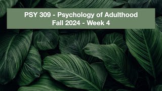 PSY309 Week04 Update