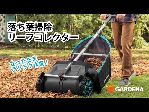 そこらへんの落ち葉 そこらへんの落ち葉 【公式通販】