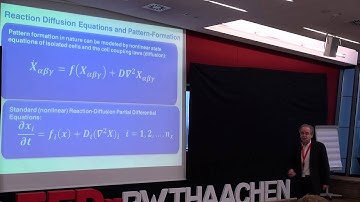 Complexity - from Big Bang to Big Data | Klaus Mainzer | TEDxRWTHAachen