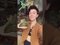 Whaleontology Drama