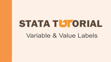 Stata Tutorial: Variable & value labels
