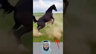حتى لو اجتمعوا عليه  يبقى الأب درع ا لا يسمح لأحد أن يؤذيك اكسبلور لايك ترند تحفيز سمعها