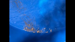 Getting gold in unlikely places