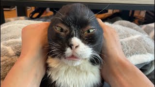 リラクゼーションマッサージでうっとり顔のもんた