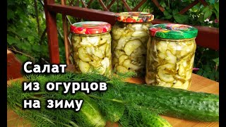 Салат из огурцов на зиму - как приготовить просто и быстро. Салат из огурцов на зиму - как приготовить просто и быстро.