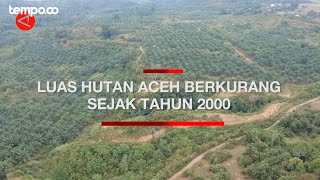 Berkurangnya Luas Hutan Aceh 5,49 Persen Sejak Tahun 2000